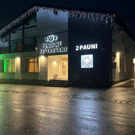 Pensiune Restaurant Pizzerie 2 Pauni Борша Екстер'єр фото